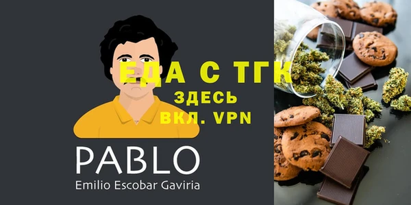 гашик Козельск