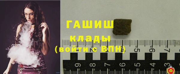 гашик Козельск
