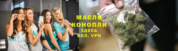 гашик Козельск