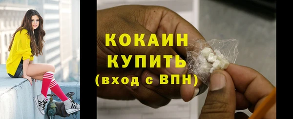 гашик Козельск