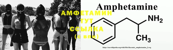 гашик Козельск