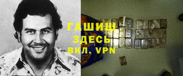 гашик Козельск