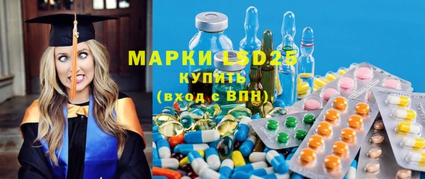 гашик Козельск