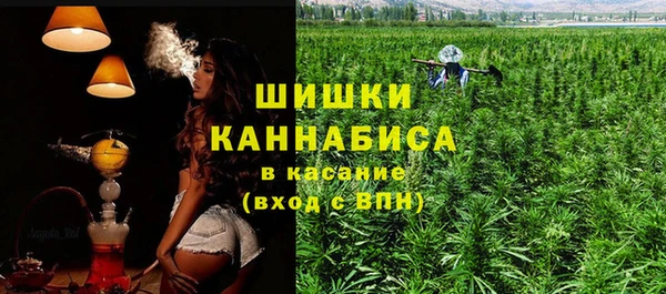 гашик Козельск