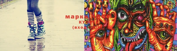 гашик Козельск