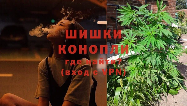 гашик Козельск