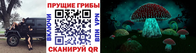мориарти клад Тимашёвск Галлюциногенные грибы прущие грибы как найти закладки